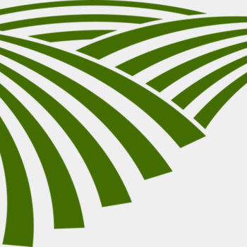 71 Rice Field Thumbnail