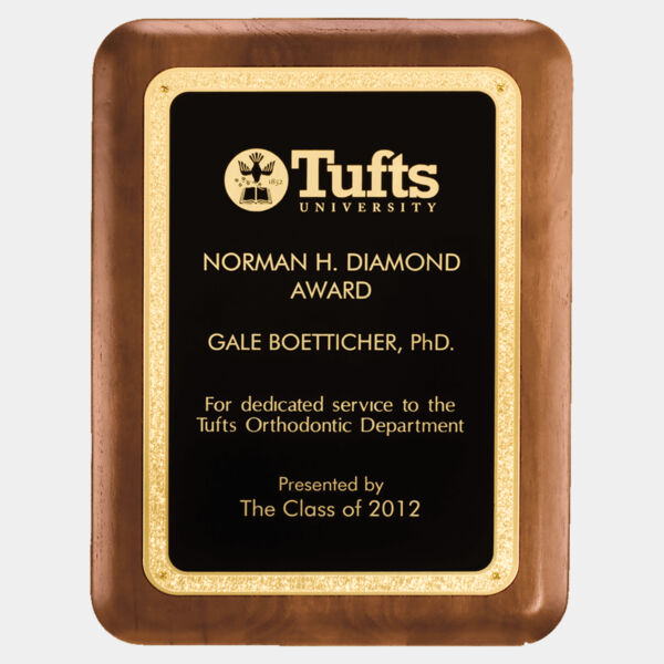 7" x 9" American Plaque with Textured LaserFX Plate with Florentine Border Thumbnail