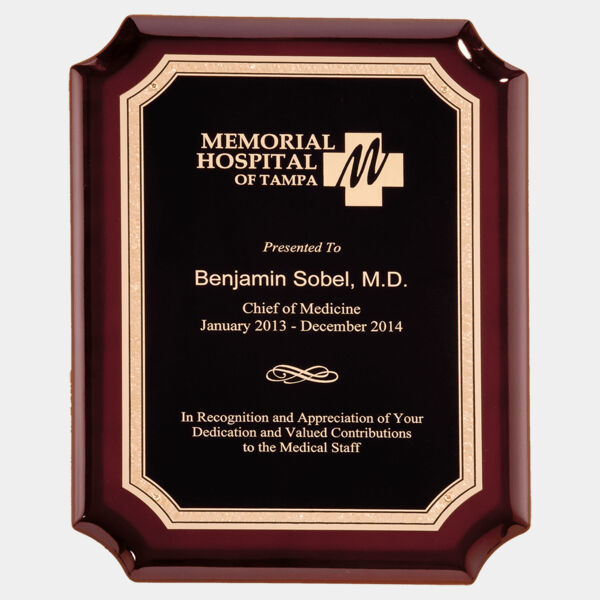 High Gloss Plaque with Florentine Border LaserFX Plate Thumbnail