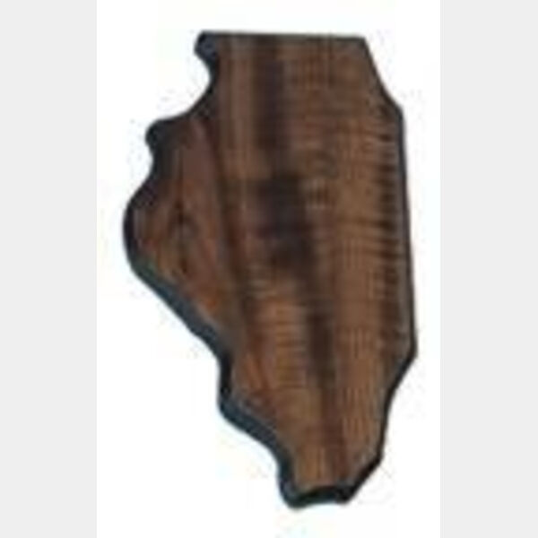 6" x 10 1/2" Finish Edge Illinois State Plaque Thumbnail