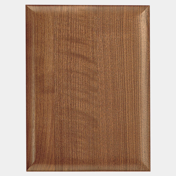 7" X 9" Airflyte Plaque Thumbnail